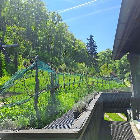 Das Altsteirische Landhaus - La Maison De Pronegg - Feriendomizil Im Biosphaerenpark Wienerwald Pressbaum Exterior photo