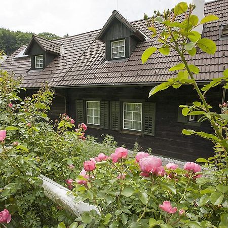 Das Altsteirische Landhaus - La Maison De Pronegg - Feriendomizil Im Biosphaerenpark Wienerwald Pressbaum Room photo