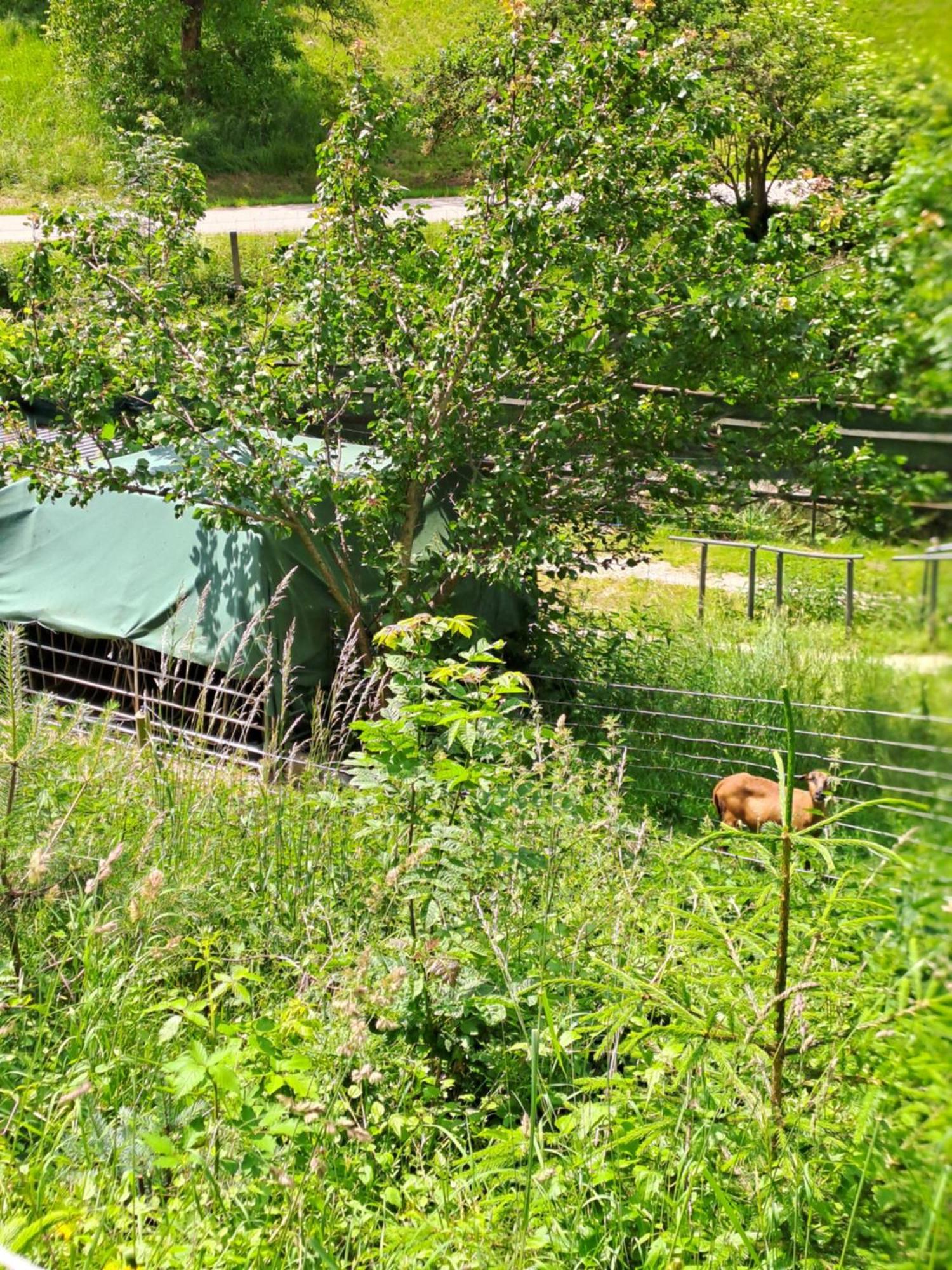 Das Altsteirische Landhaus - La Maison De Pronegg - Feriendomizil Im Biosphaerenpark Wienerwald Pressbaum Exterior photo